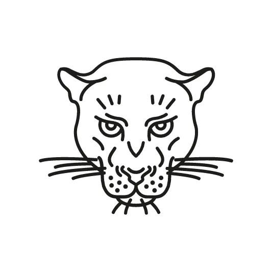 Agence La Panthère, agence web paris, création logo paris